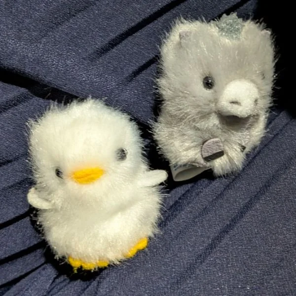 ありがとうございました💛