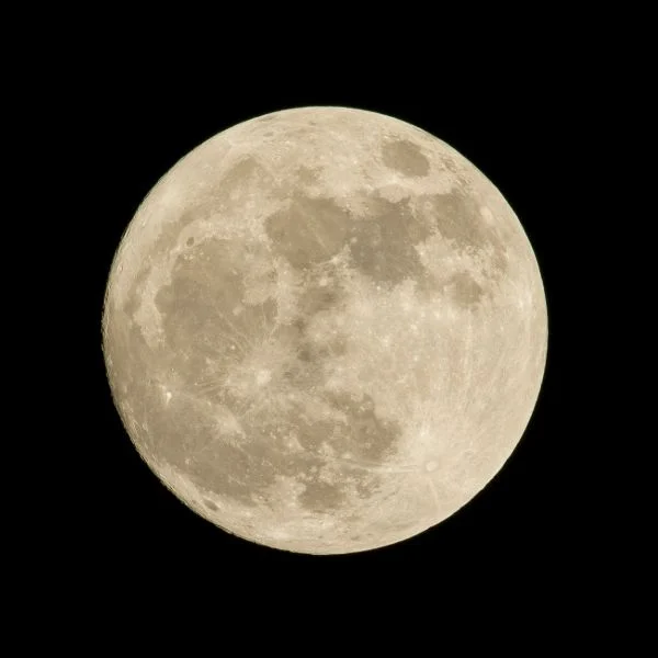 中秋の名月🌕