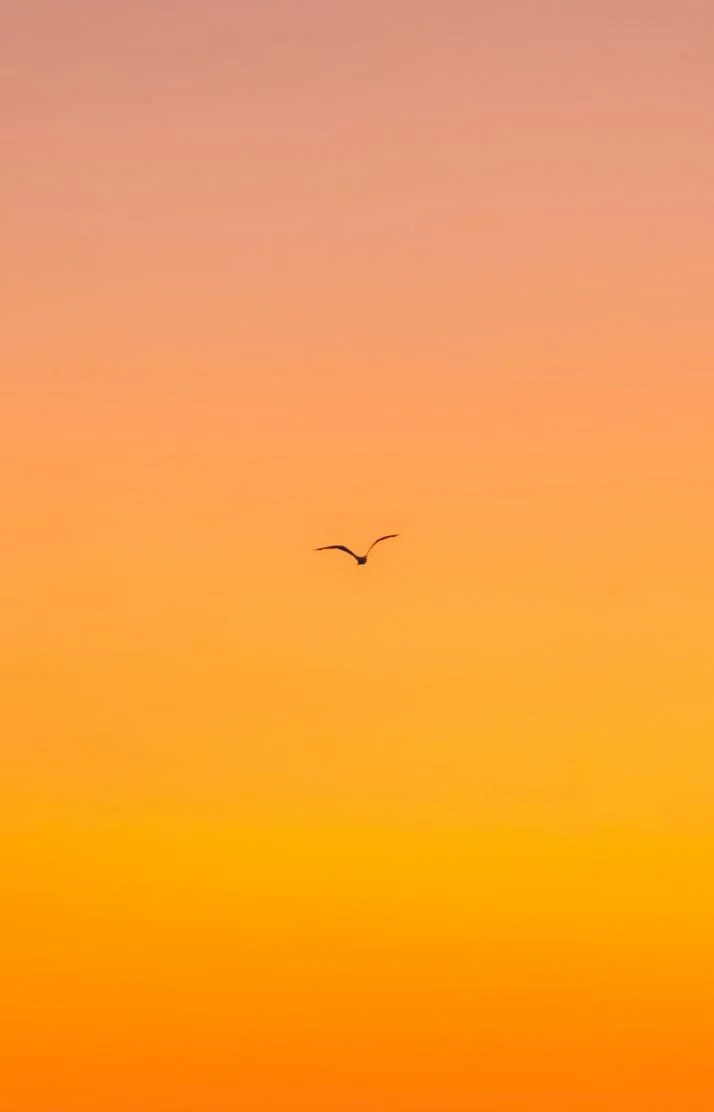 10月１日目🍂