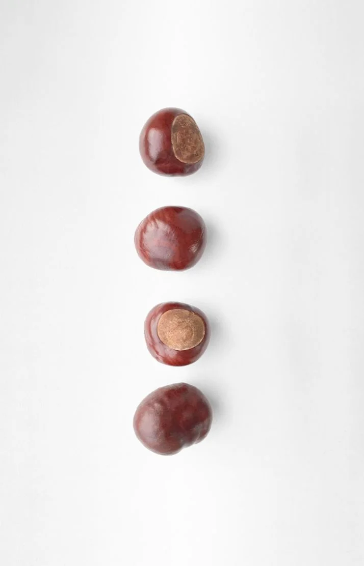 あした🌰
