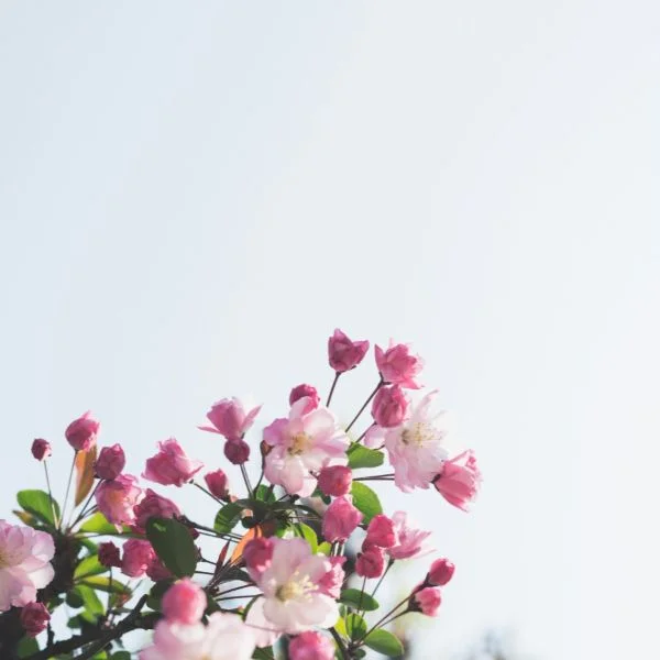 いつも楽しく…♡