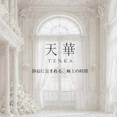 天華~テンカ~のメリットイメージ(2)