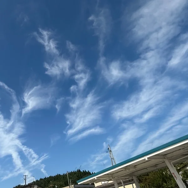 龍神雲🐉と鳳凰雲🐦‍🔥✨