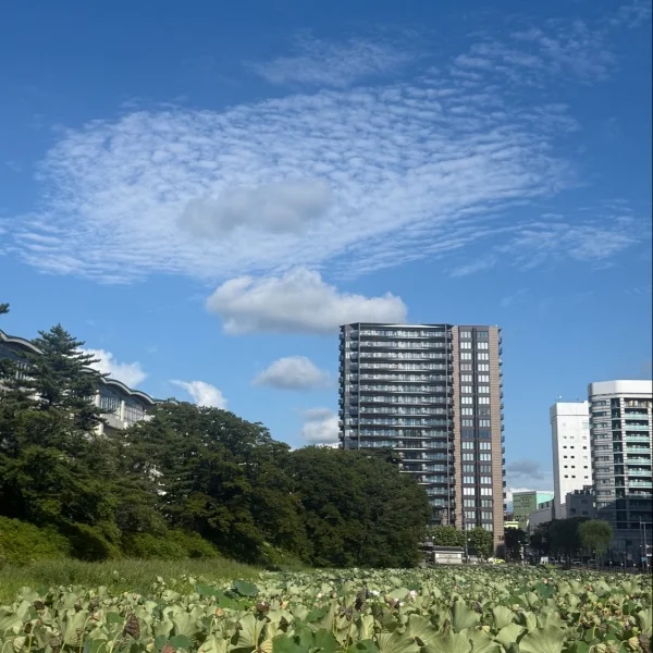 ご指名の方々ありがとう♡﻿