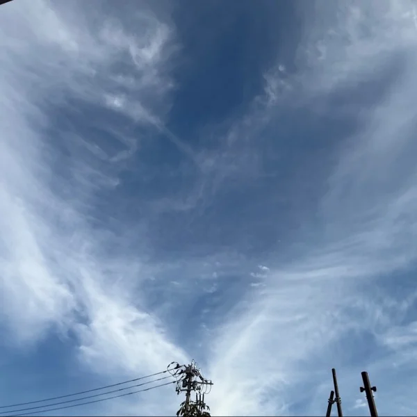 本指名さん ありがとう♡