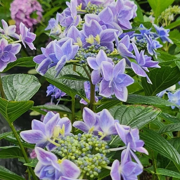 ご予約ご指名ありがとう♡
