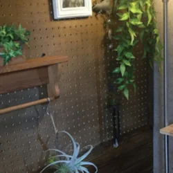 エステラ（Estela）