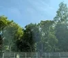 どんよりした空気を行き届いたケアで吹き飛ばしましょうのサムネイル