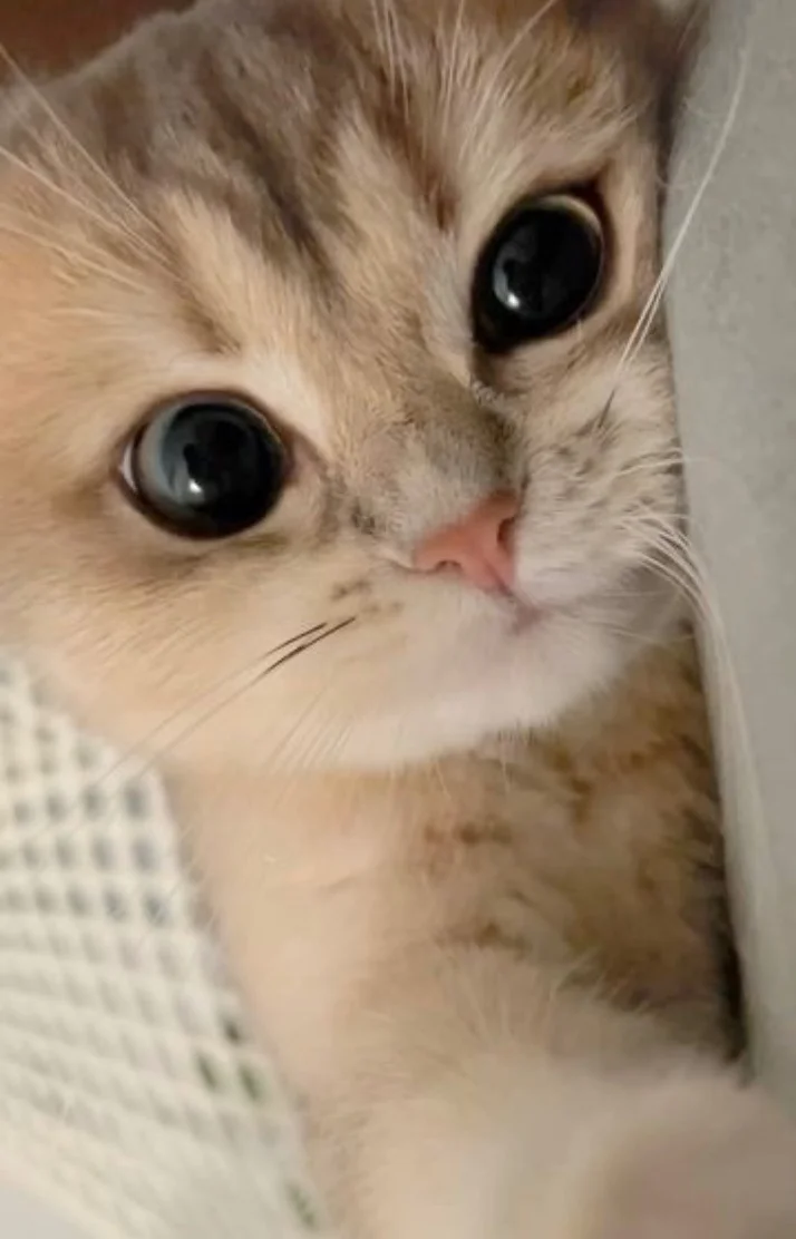 あんな🧸🍒