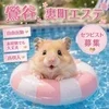 大募集!!!!のサムネイル