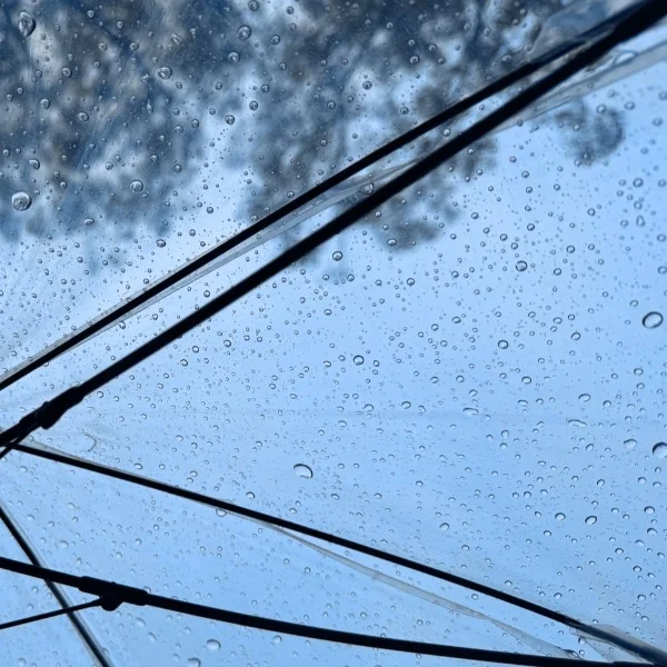 雨しとしと：：：(^^)T：：：