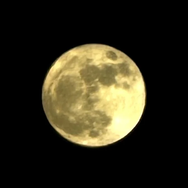 6月…(*°ω°)ﾋｬｯ