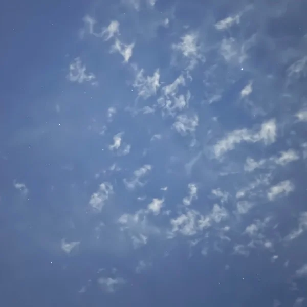 今日はお休みっ٩(ˊᗜˋ*)و”