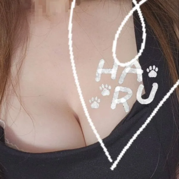 出勤したよ