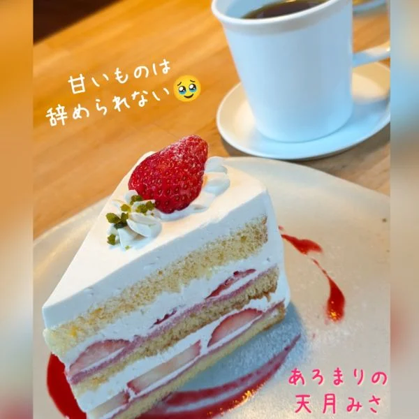 天月みさってどんな人？