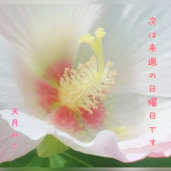 満❣️ ありがとうございました