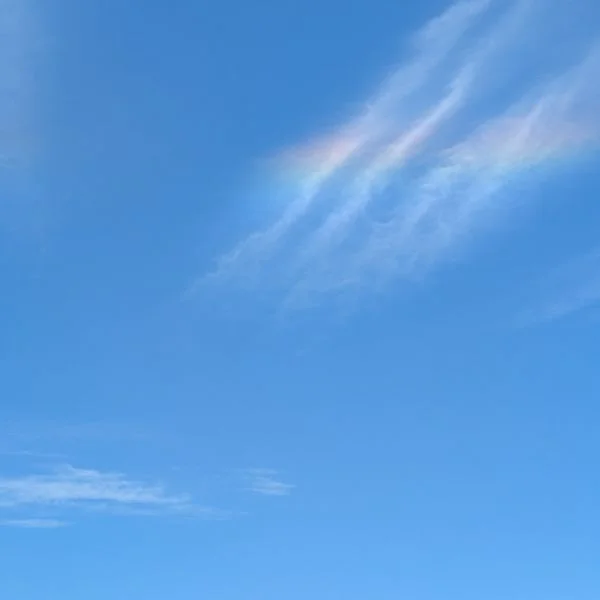 国宝観てきました😳