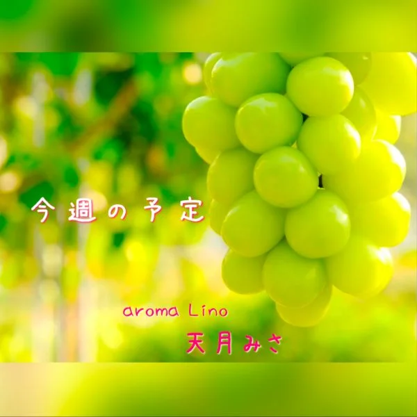 今日もお疲れ様です💕