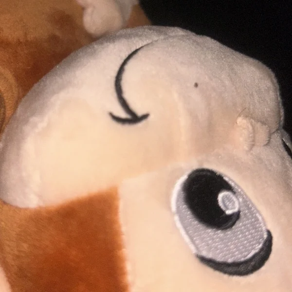 退勤·͜·ᰔᩚ