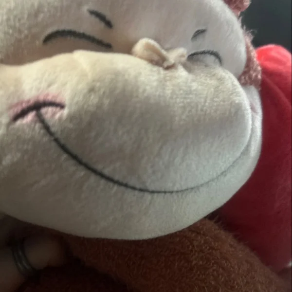 今日もいてます‼️