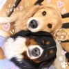     店長より人間関係うまくいってます🐶のサムネイル