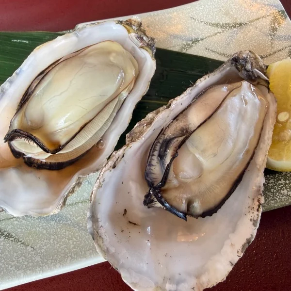 明日18時00分から♡