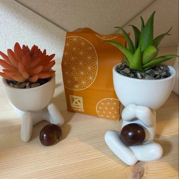 昨日のお礼🍀