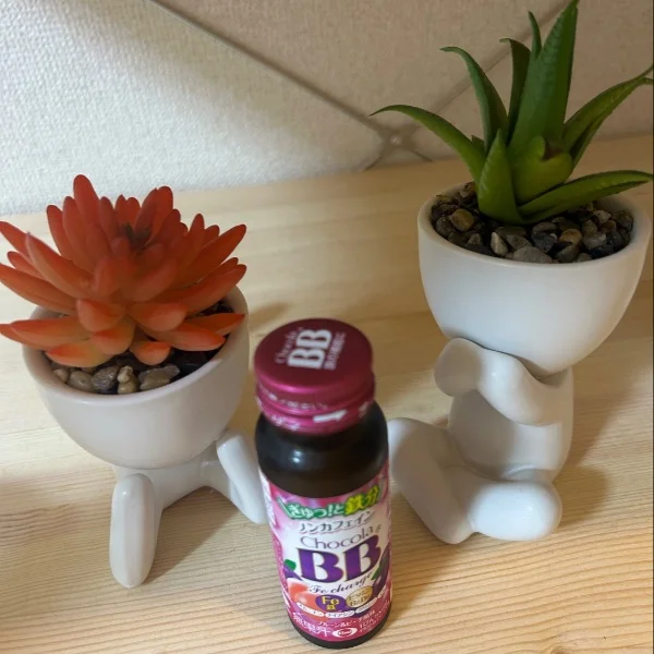 昨日のお礼🍀