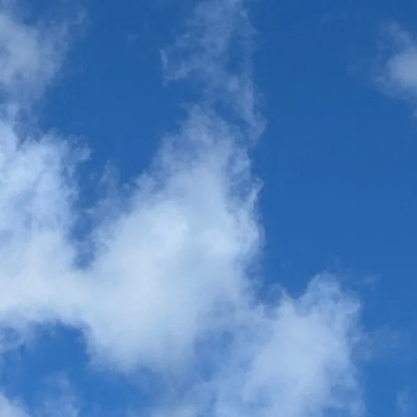 本日は晴天なり✨