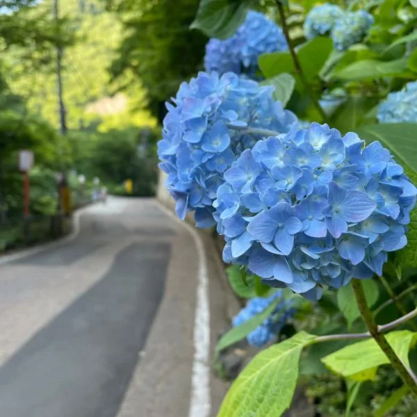 今日はロングの日❤️