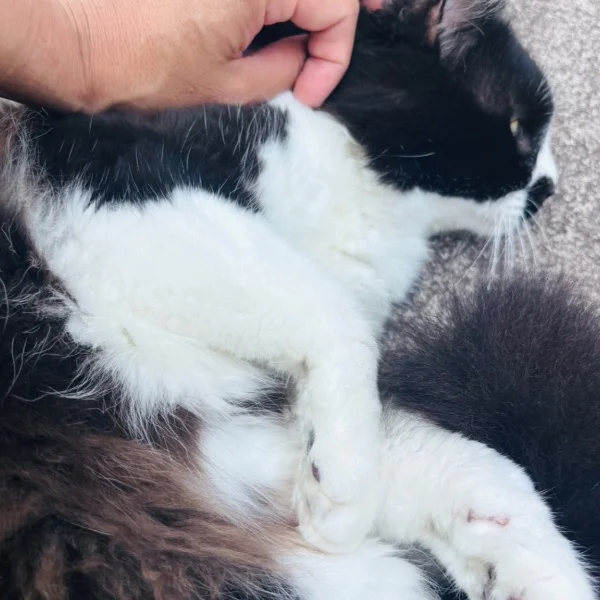 これから〜