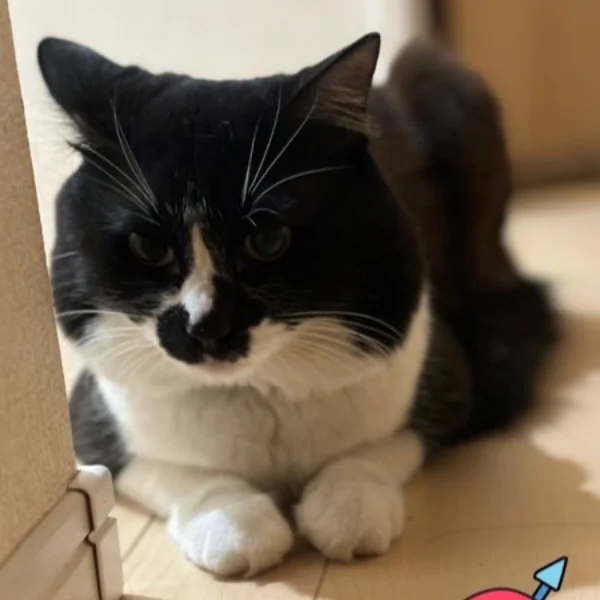 頑張ろう💪