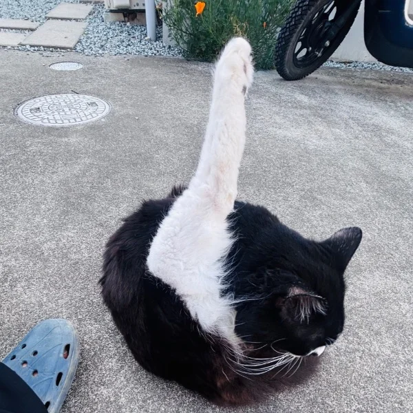 とてもいい日でした🥳
