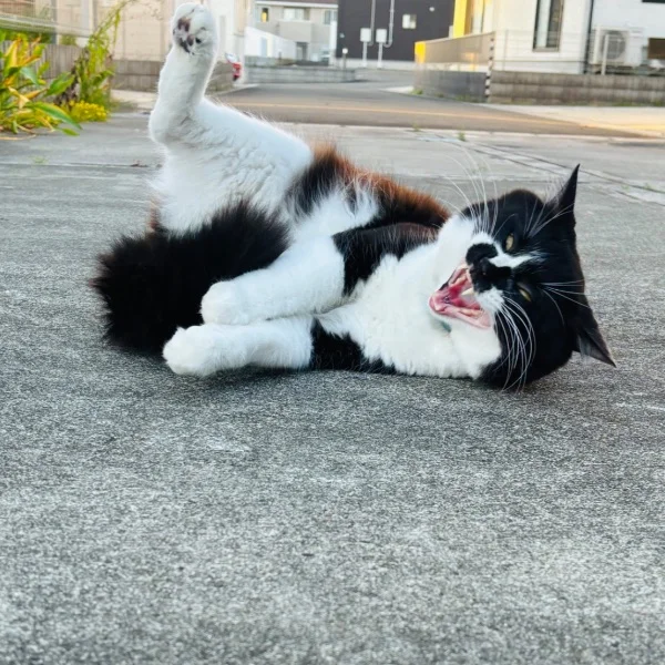 本日出勤🌸