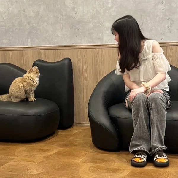猫ちゃんに癒された日🐈⬛🤍