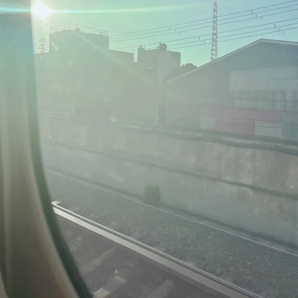今日は…