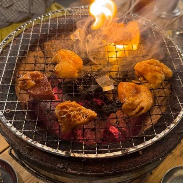 今日は…