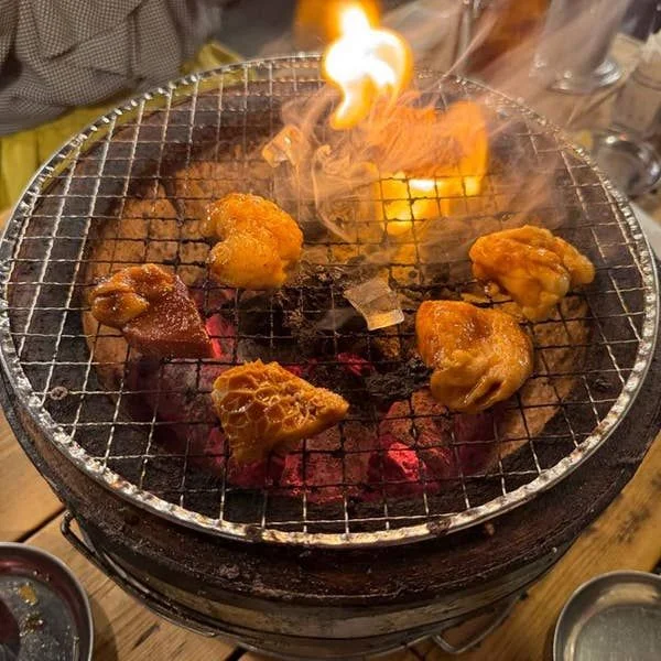 今日は…