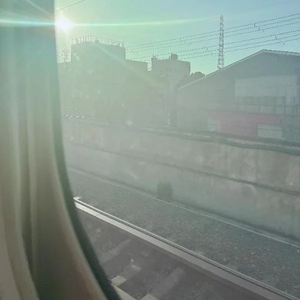 今日は…