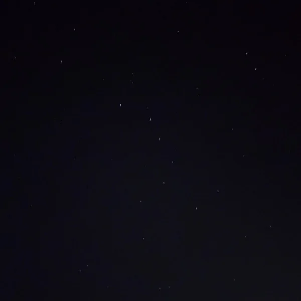 お休みの理由は…