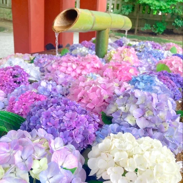 今日も⭐️𓂃꙳⋆