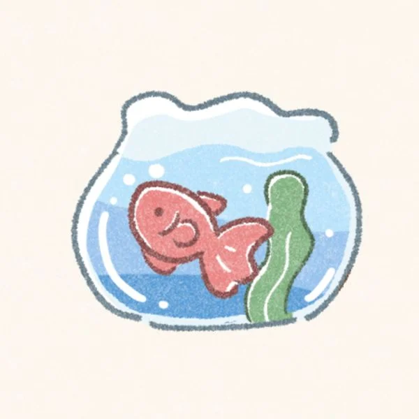 おはようございます☀