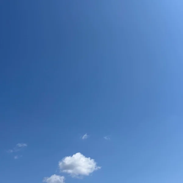 本日13:30〜出勤します✨