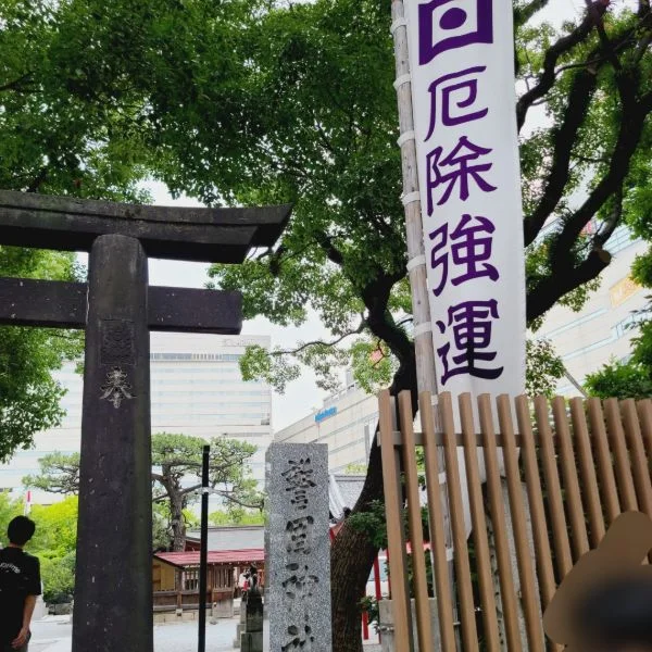 お散歩🐱🐾🐾