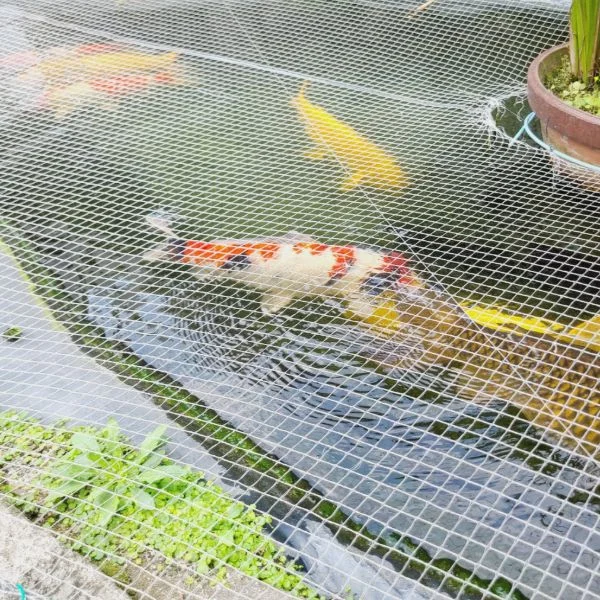 K様💕ありがとうございます💖