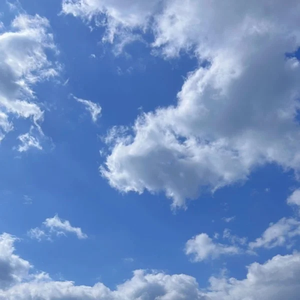 今週の♡𓈒𓏸︎︎︎︎