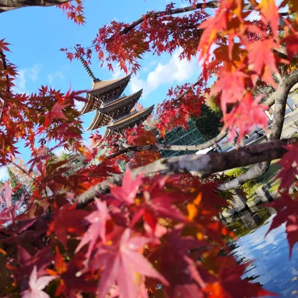 本日お休みです🥺🙏