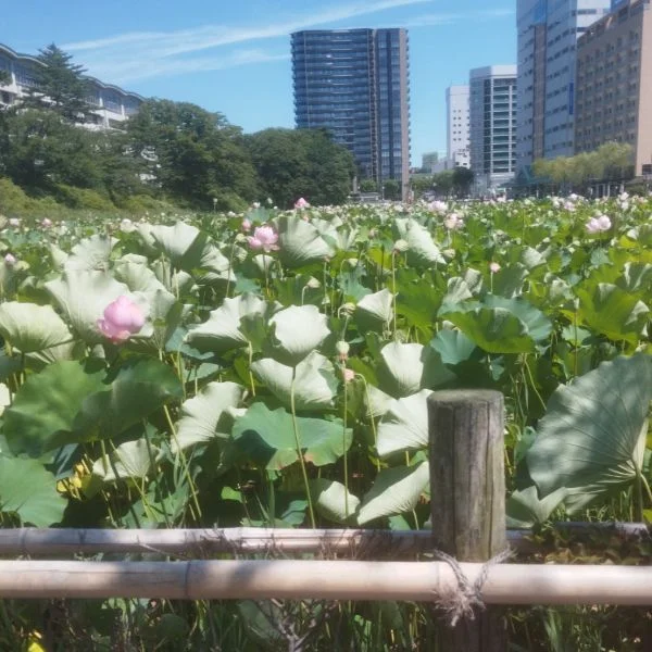 おはようございます
