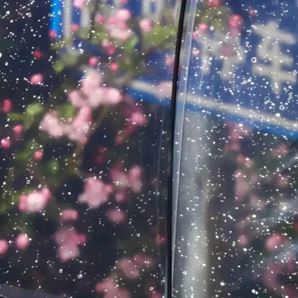 ありがとう💞