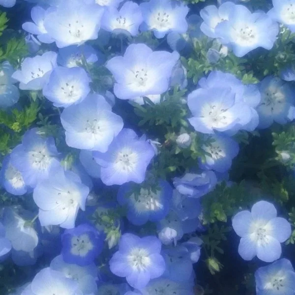 本日もありがとうございました💞
